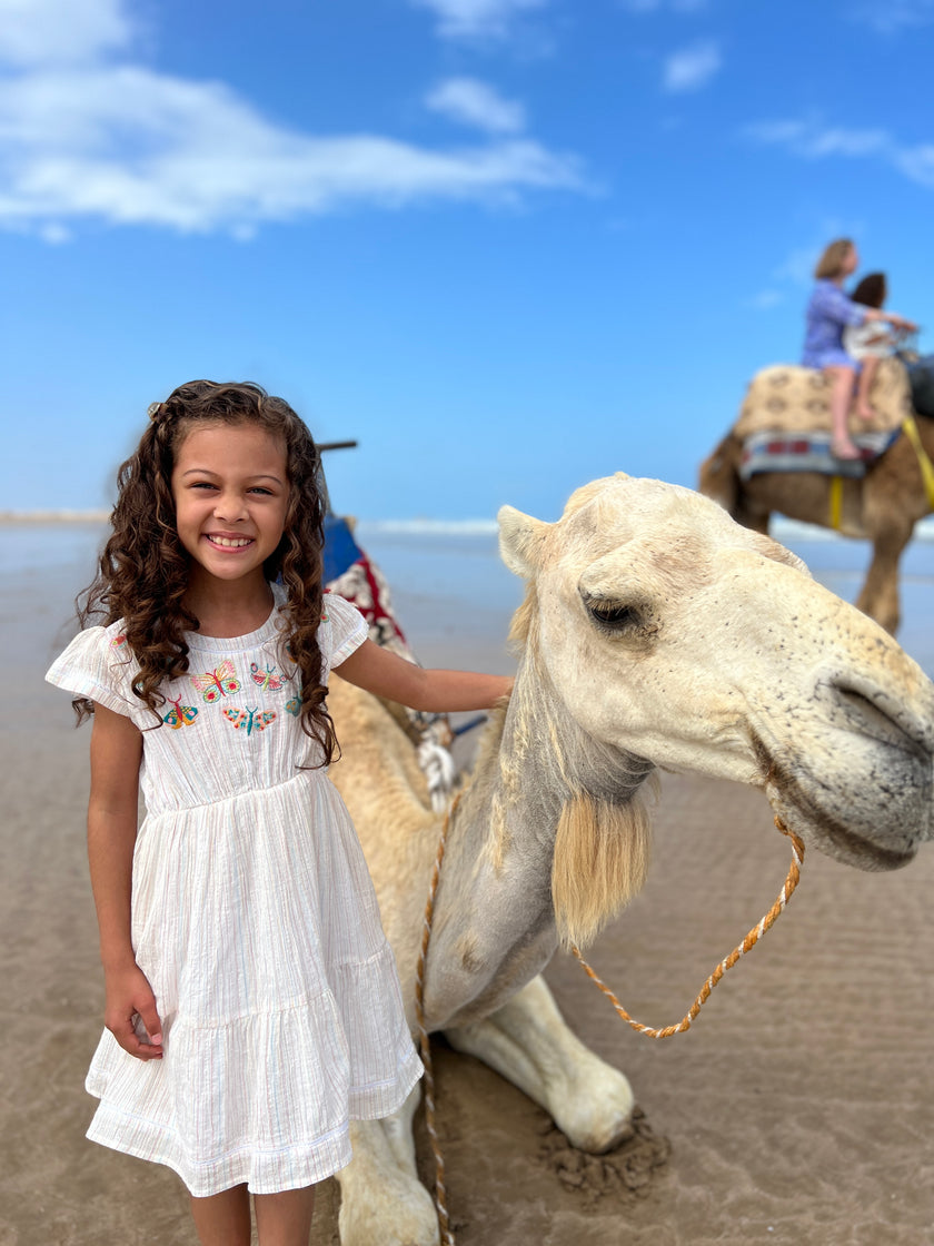 Butterfly Embroidered Dress in Cream