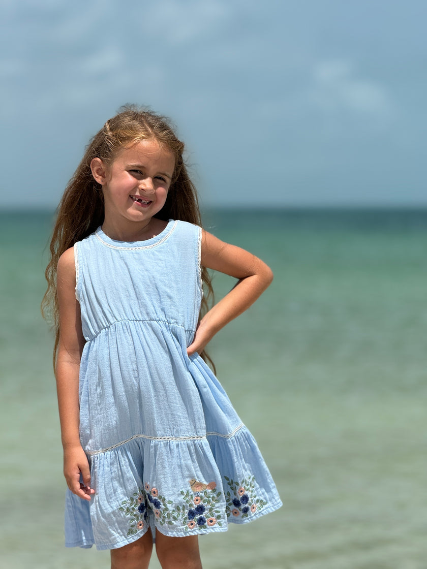 Blue Embroidered Floral Dress