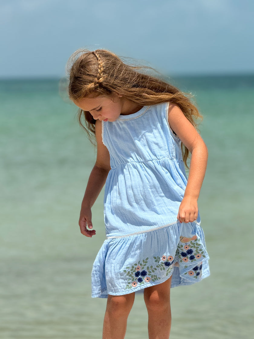 Blue Embroidered Floral Dress