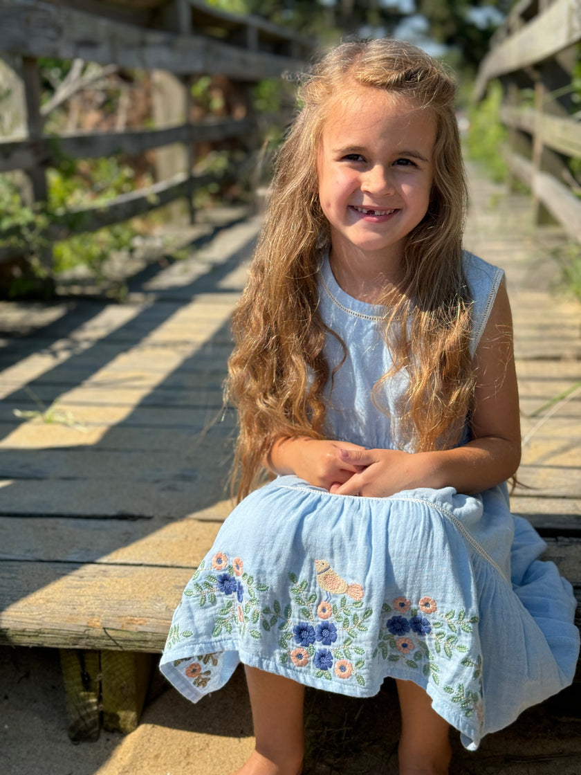 Blue Embroidered Floral Dress