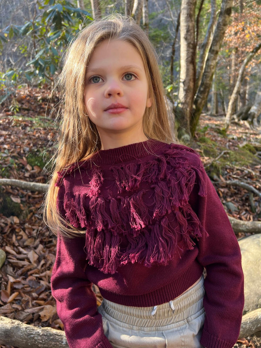 Fringe Knit Sweater in Dark Plum
