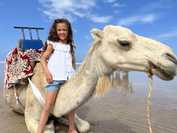 Bardot Ruffle Blouse in White
