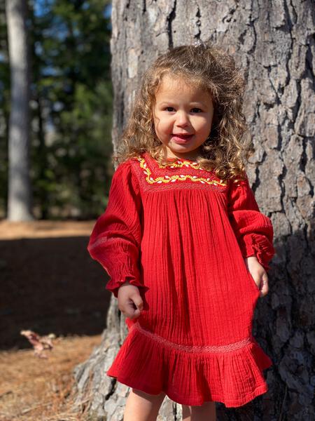 Flower Meadow Dress in Red