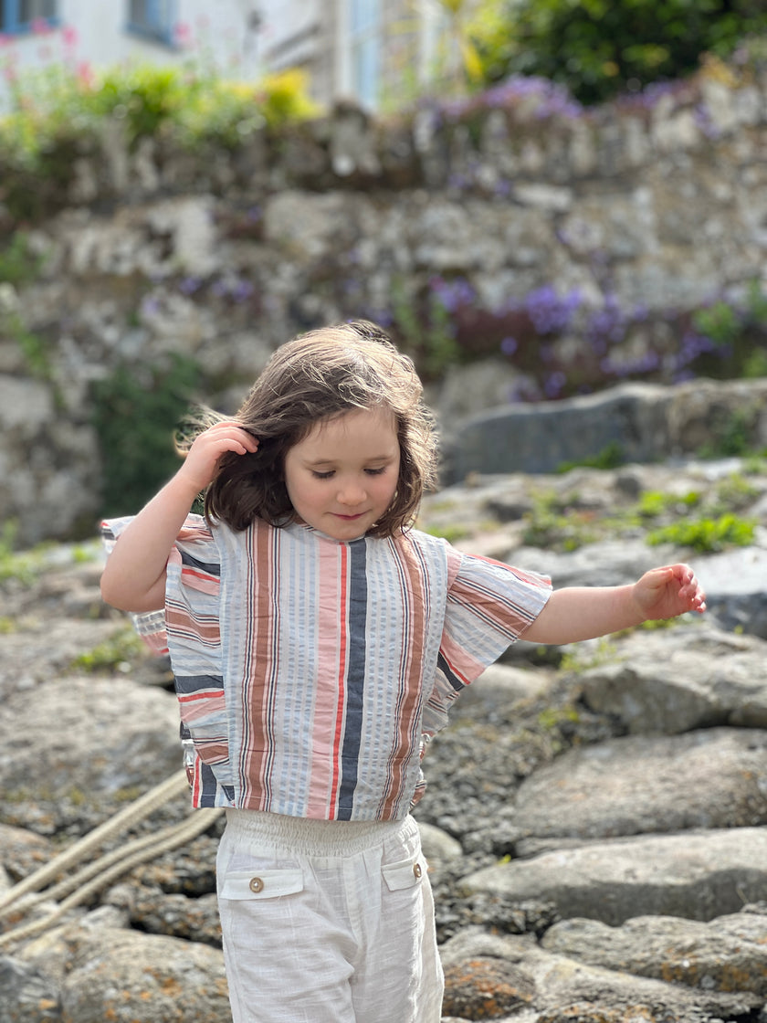 Frill Sleeve Top in Summer Stripe