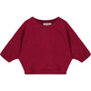 Batwing Tee in Plum