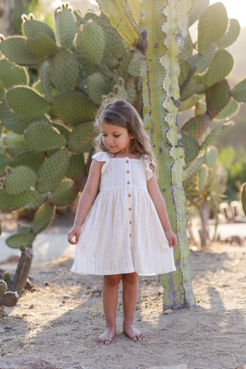 Button Down Dress in Sedona Stripe