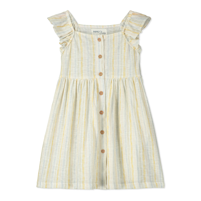 Button Down Dress in Sedona Stripe