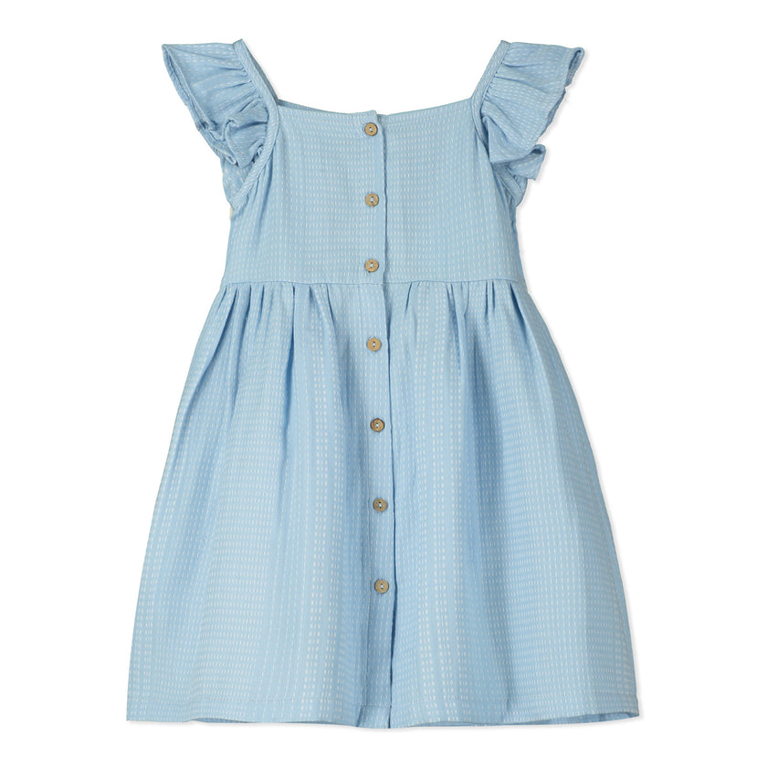 Button Front Dress in Blue